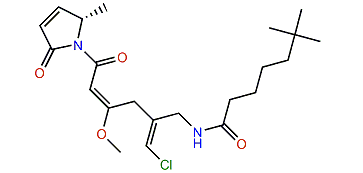 Ypaoamide C